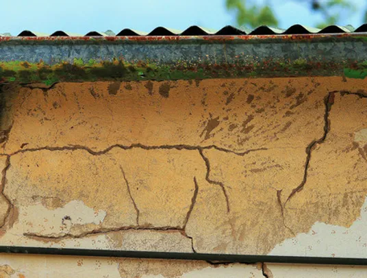 Wood Destroying Insects